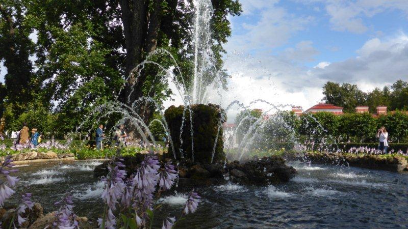 P1000728 - Kopie.JPG